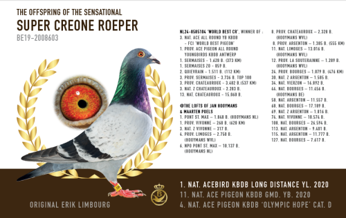 荷兰 布劳尔黄金之选战队（上）